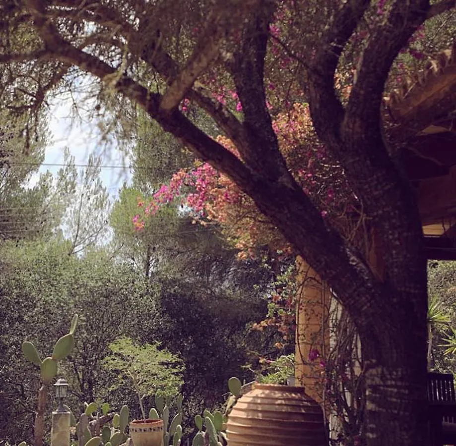 Holiday home Finca Ses Eres Arta