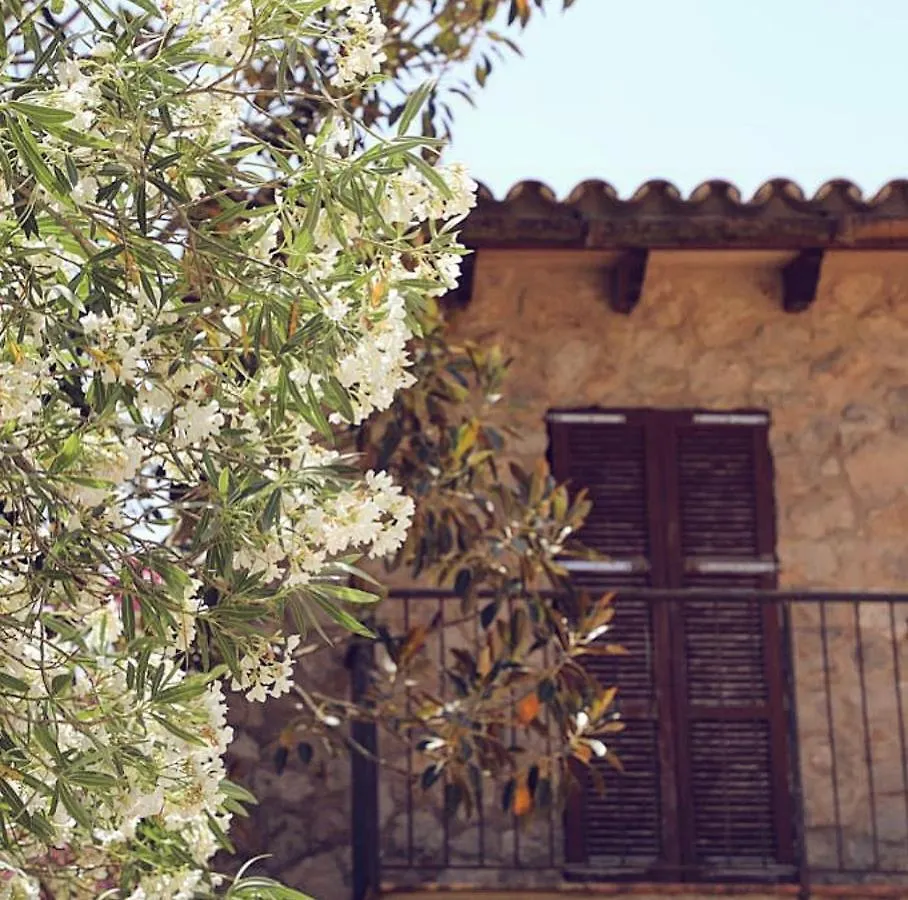 Holiday home Finca Ses Eres Arta Spain
