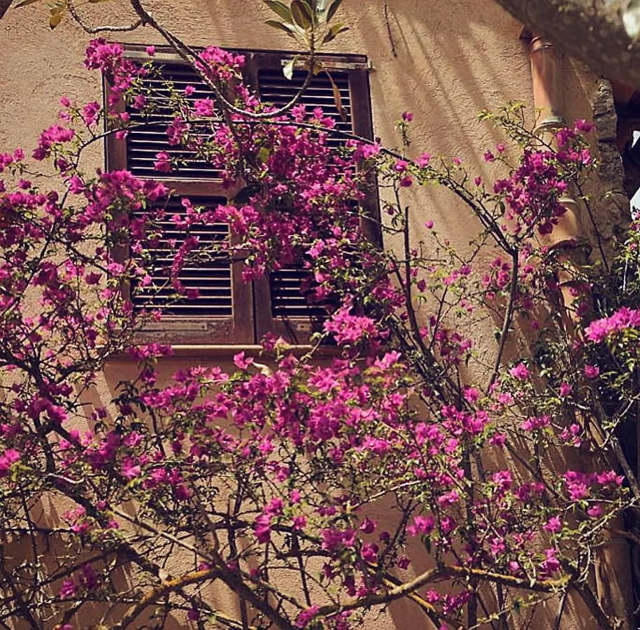 Finca Ses Eres Arta Holiday home
